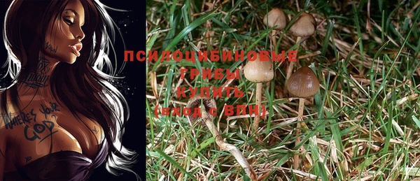 дурь Абаза
