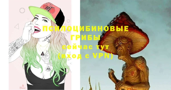 дурь Абаза